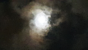 תמונה של ירח בלב שמיים שחורים