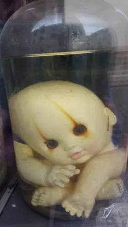 ילד מעבדה