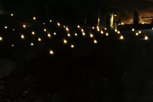 אורות בחושך
