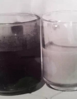 כוס חלב, כוס קפה שחור