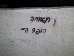 הופה היי