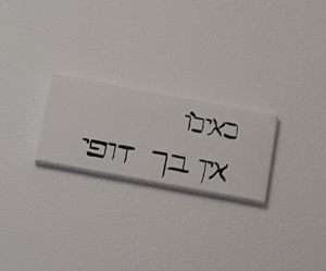 אין בך דופי