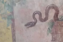 נחש על קיר