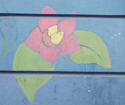 ציור של פרח על קיר