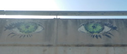 עיניים על הגשר